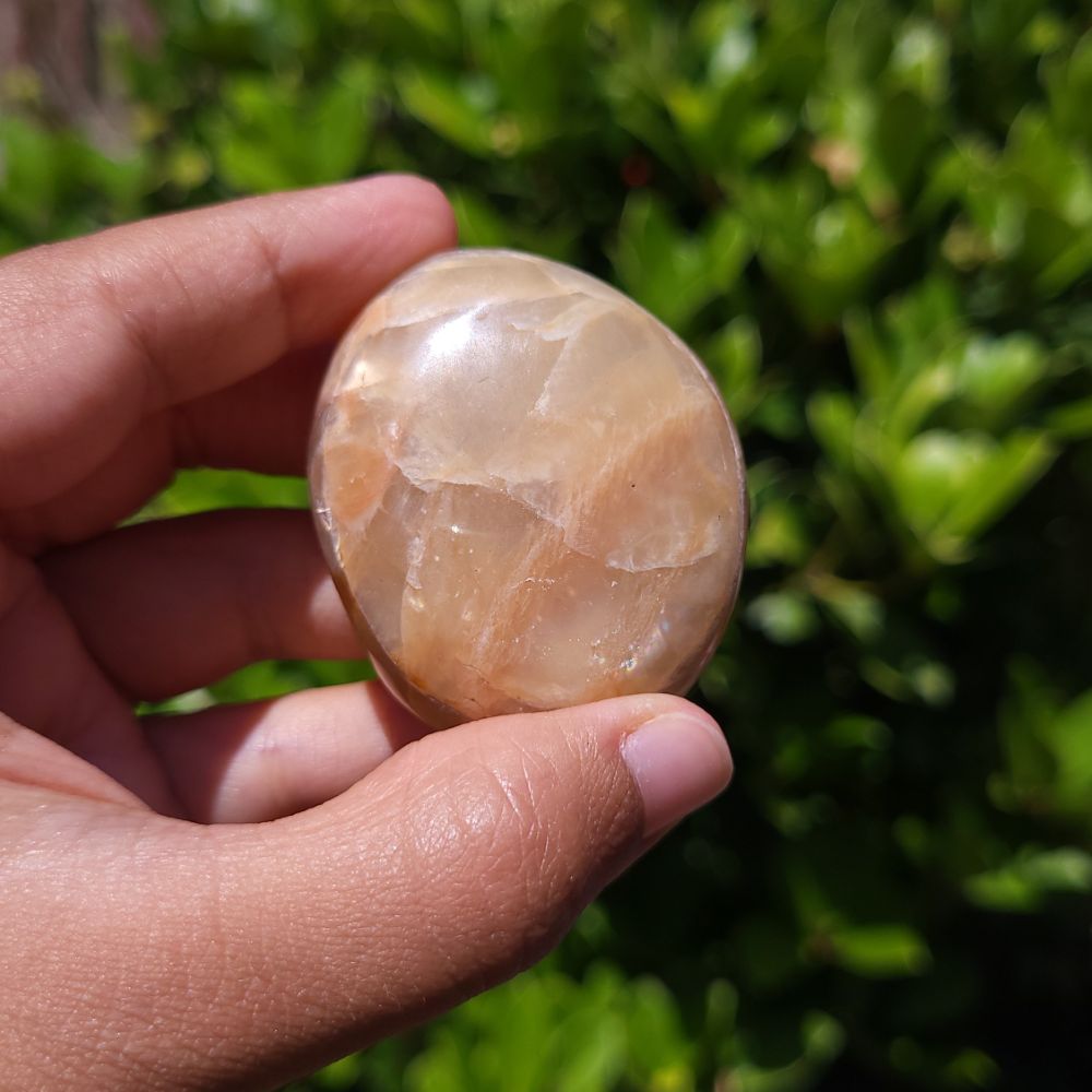 Hand holding a smooth, brown Peach Moonstone palm stone against a green leafy background