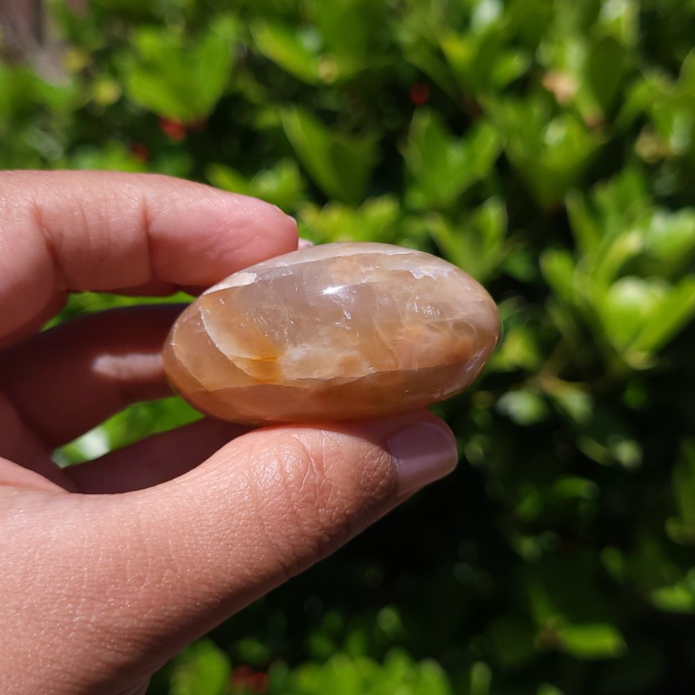 Hand holding a polished Peach Moonstone palm stone with a green leafy background