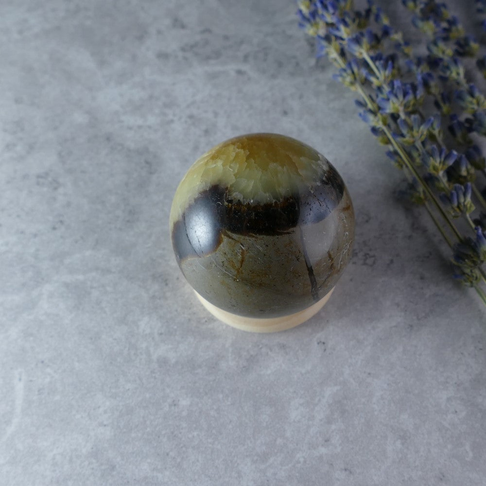 Ancient Earth's Calming Touch - Dumi's Crystals Mini Septarian Sphere (43mm, 110g). Tiny treasure with powerful energy. Golden calcite, aragonite & limestone promote well-being.
