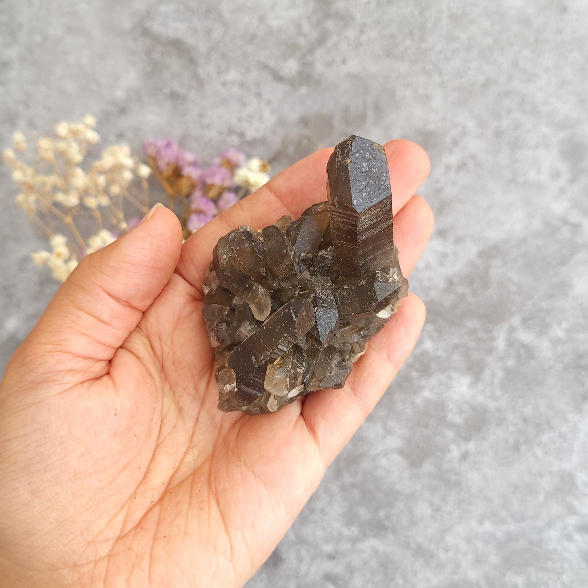 A hand holding a dark brown smoky quartz crystal cluster against a textured gray background with dried flowers.