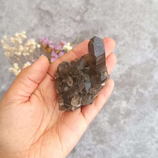 A hand holding a dark brown smoky quartz crystal cluster against a textured gray background with dried flowers.
