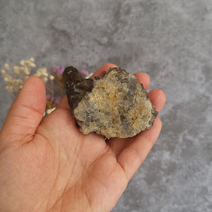 A hand holding a rough natural crystal cluster with dark smoky and tan mineral tones, set against a textured gray background with small dried flowers in the soft focus.