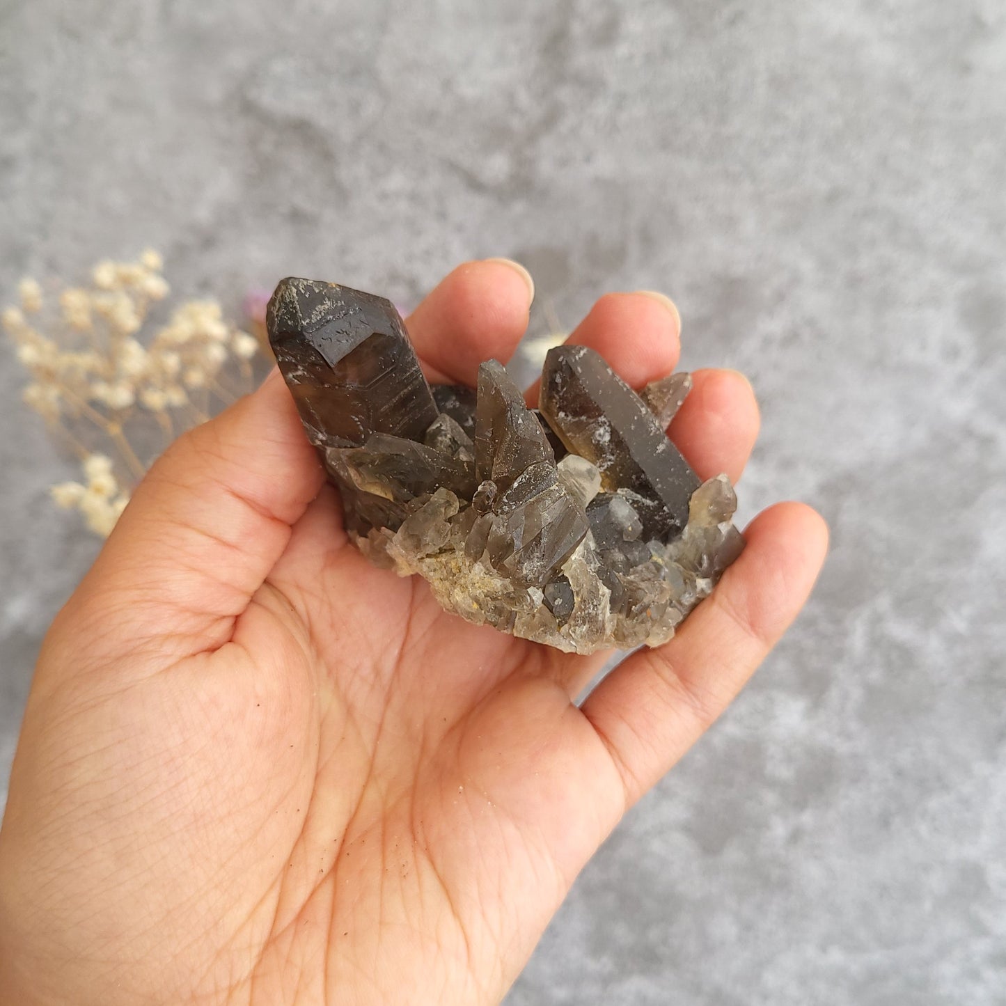 A hand holding a cluster of smoky brown and translucent gray crystals against a soft gray background with small dried flowers in the side.