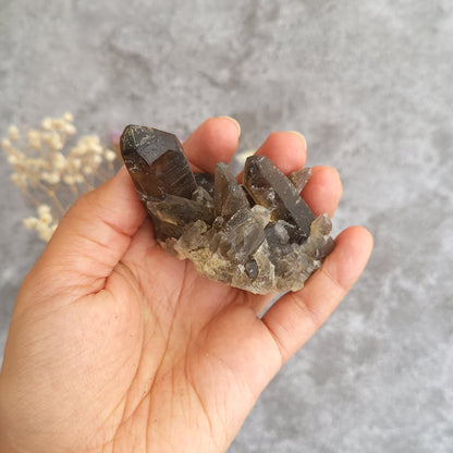 A hand holding a cluster of smoky brown and translucent gray crystals against a soft gray background with small dried flowers in the side.