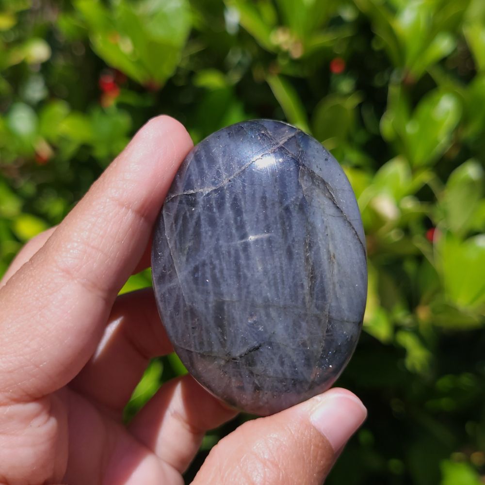 Hand holding a polished blue stone against a green leafy background