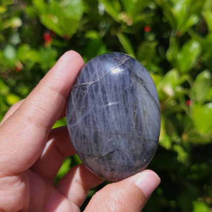 Hand holding a polished blue stone against a green leafy background