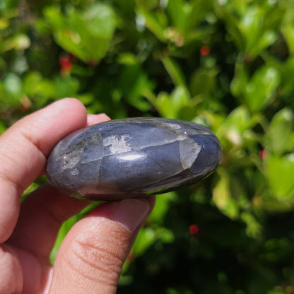 Hand holding a polished stone with a green leafy background