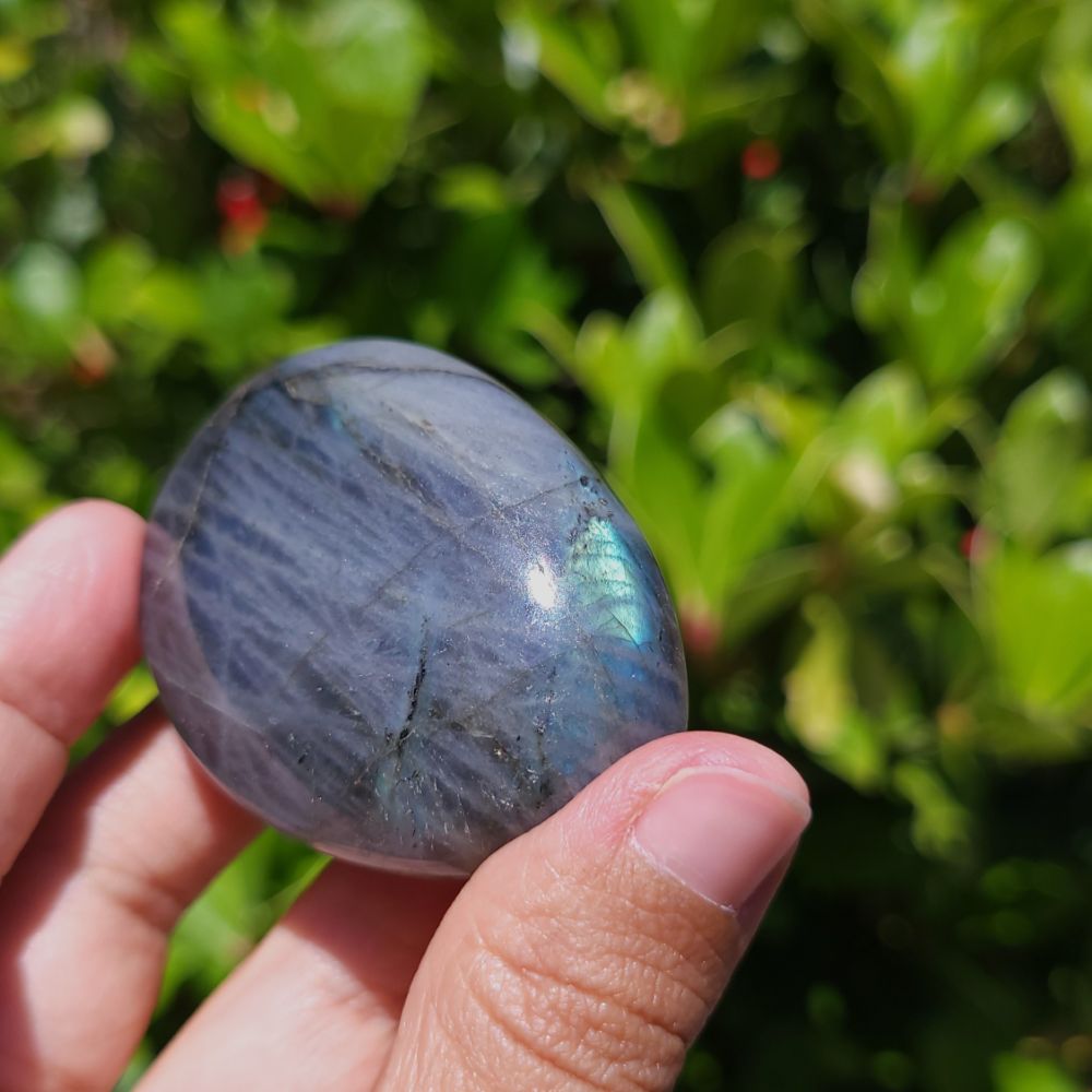 Person holding a Labradorite stone with a green leafy background