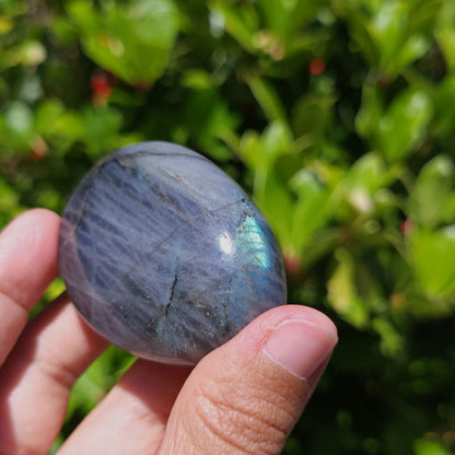 Person holding a Labradorite stone with a green leafy background