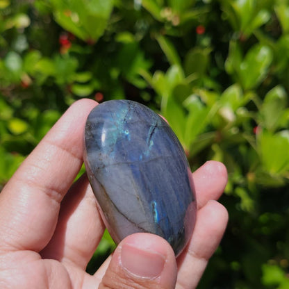 Hand holding a labradorite stone with a blurred green leafy background