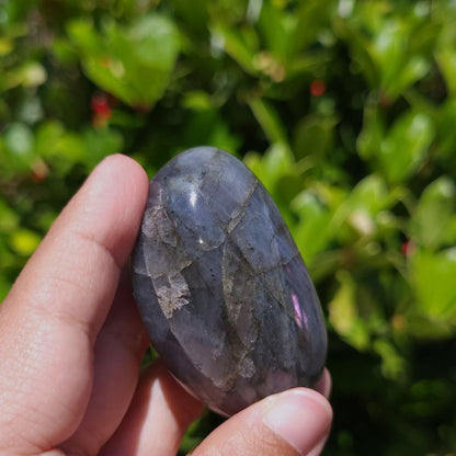 Hand holding a polished stone with a natural green leafy background