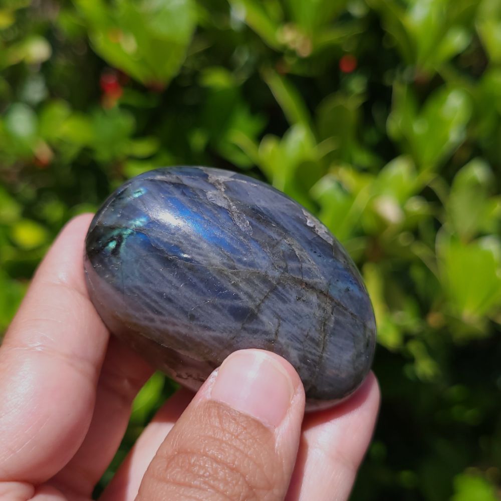 Hand holding a blue labradorite stone with a blurred green leafy background