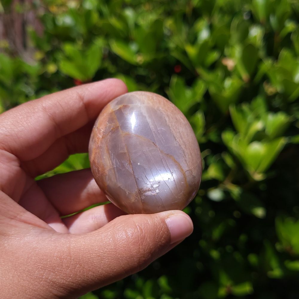 Hand holding a polished Peach Moonstone palm stone against a green leafy background