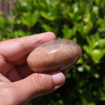 Hand holding a Peach Moonstone palm stone with a blurred green background