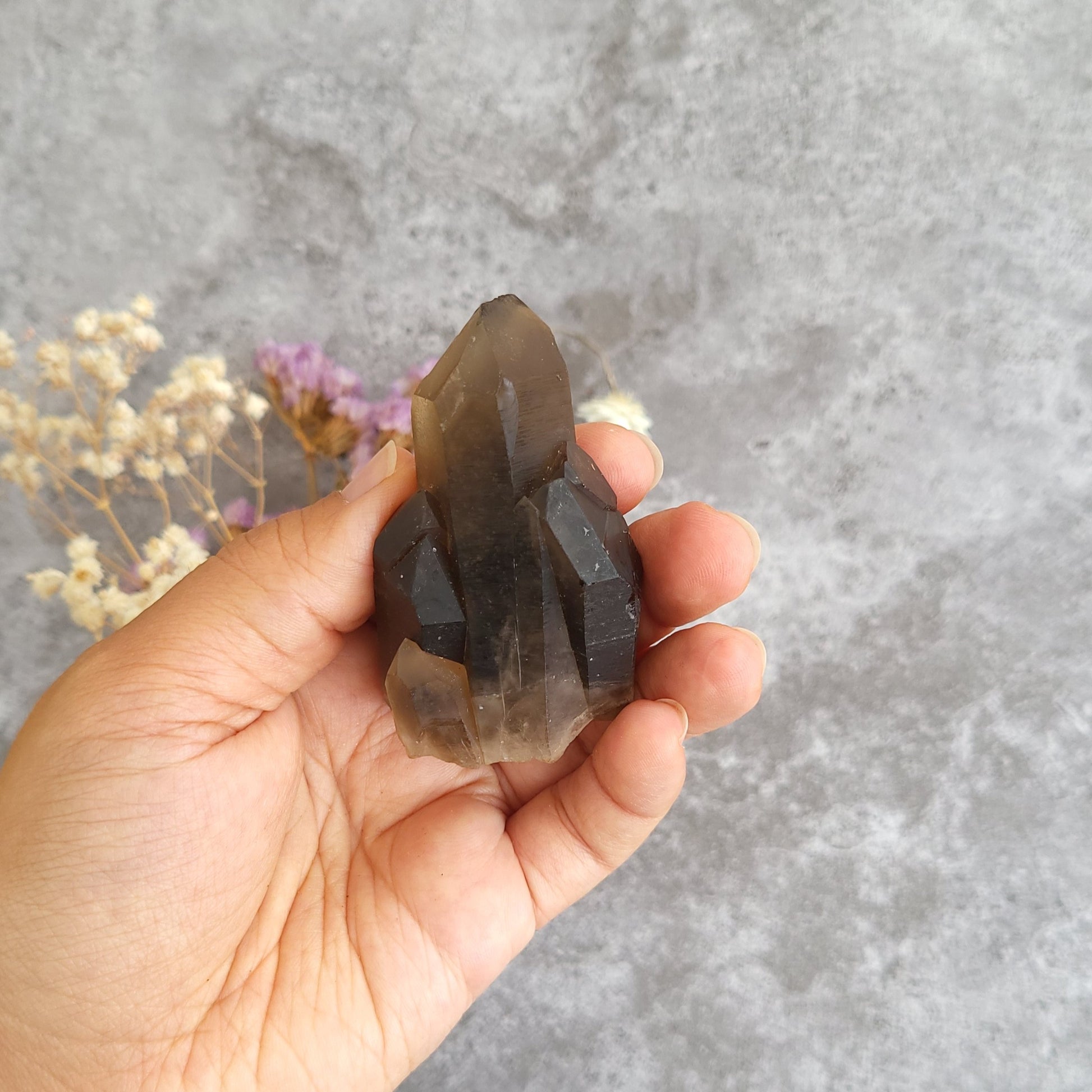 A hand holding a smoky brown crystal cluster against a textured gray background with dried flowers in the corner.