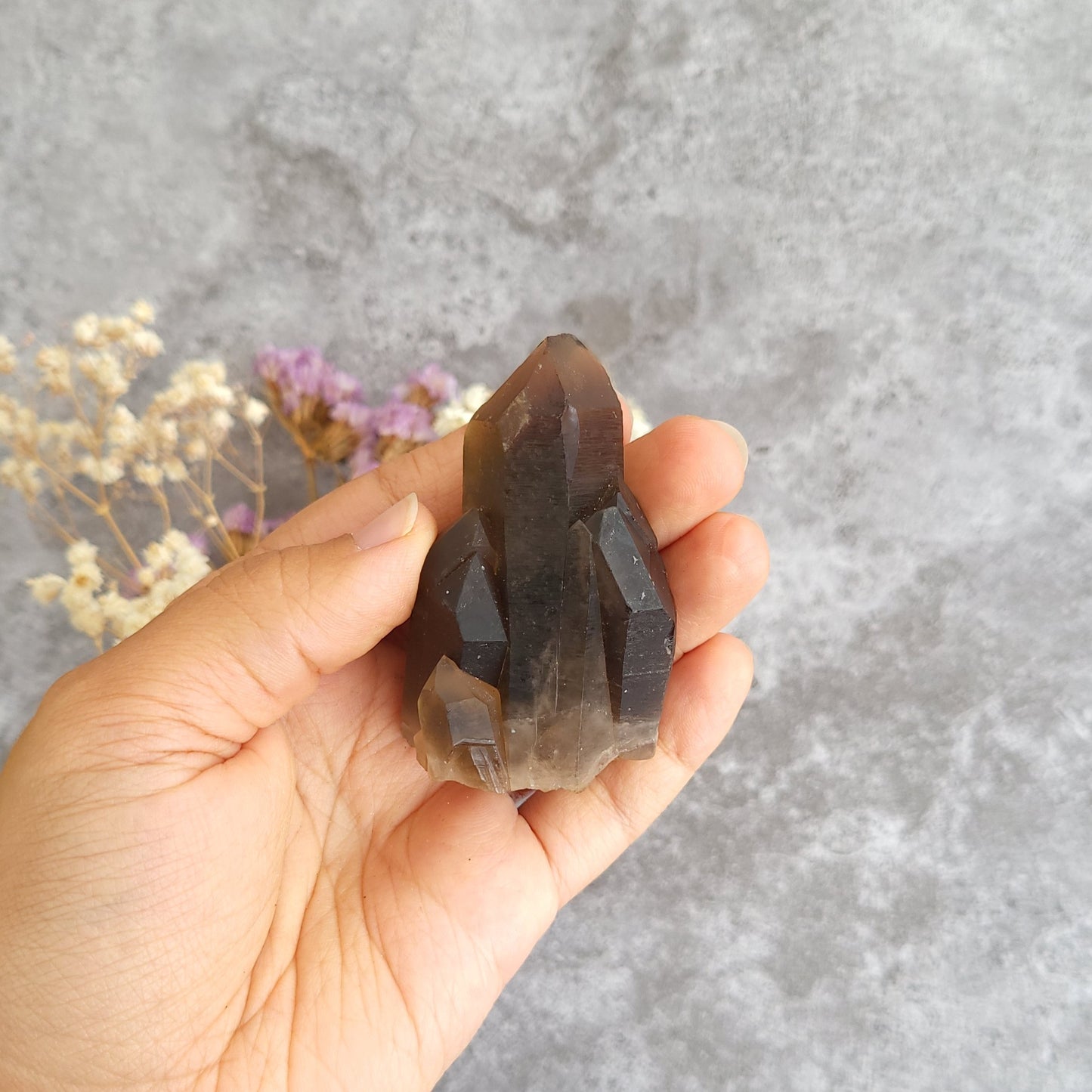 A hand holding a faceted smoky quartz crystal cluster against a textured gray background with dried flowers in the corner.