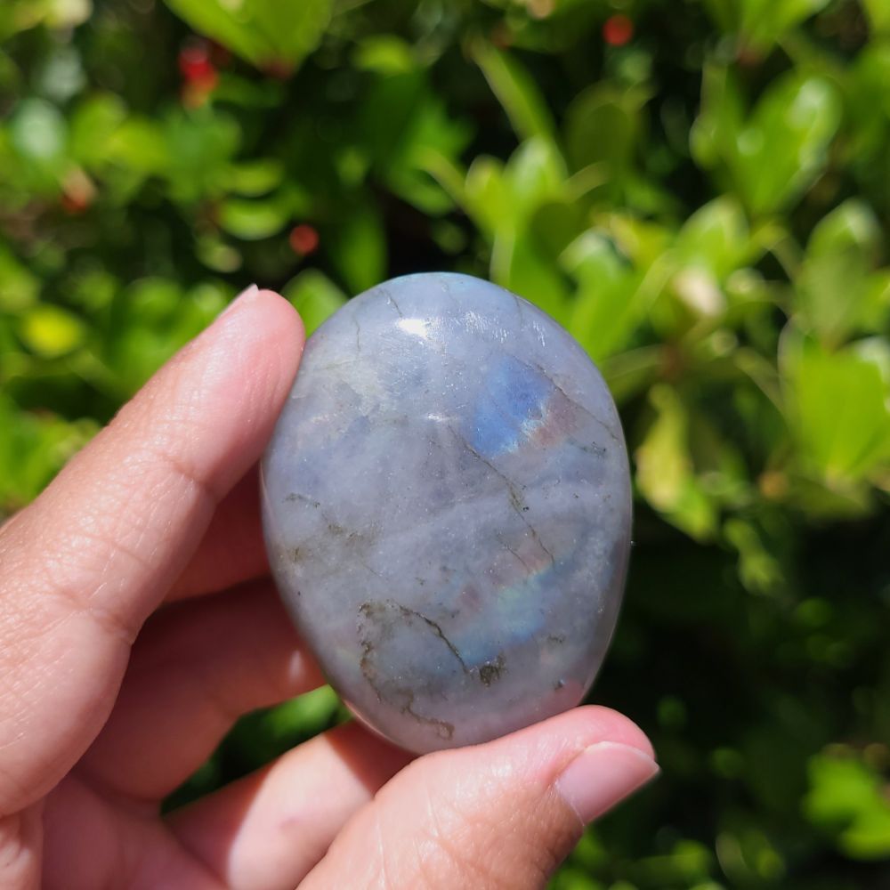 Hand holding a labradorite stone with a blurred green background
