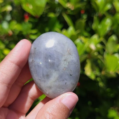Hand holding a labradorite palm stone with green foliage in the background