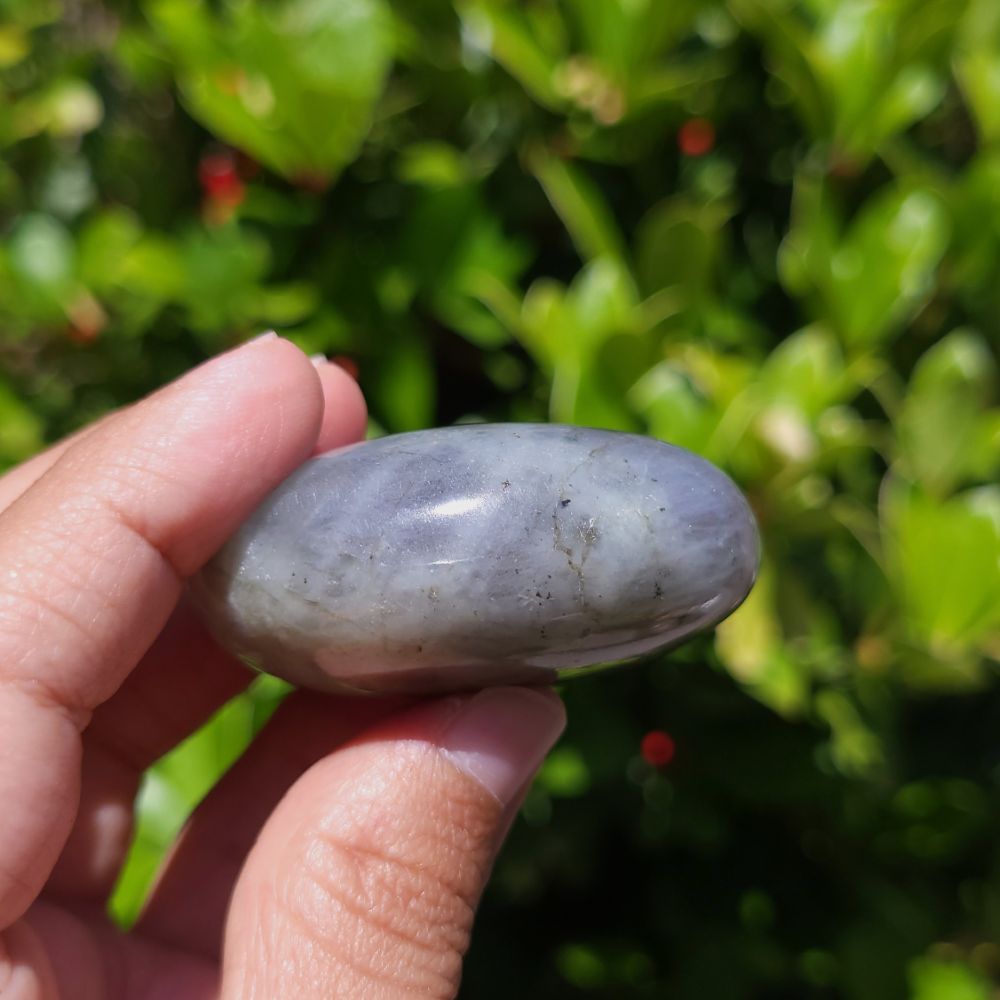Hand holding a labradorite palm stone with green foliage in the background