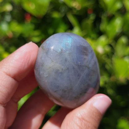 Hand holding a blue labradorite stone with a blurred green background