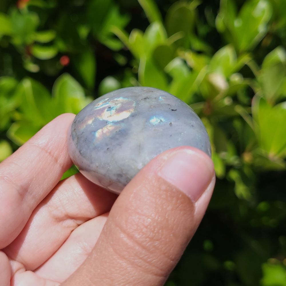 Person holding a polished labradorite stone against a green leafy background
