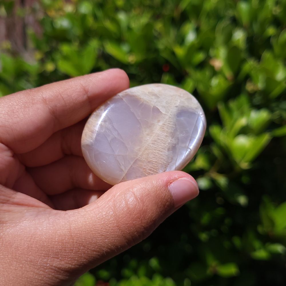 Hand holding a smooth Peach Moonstone flat palm stone against a blurred green background