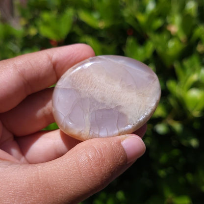 Hand holding a smooth, polished Peach Moonstone flat palm stone against a blurred green background