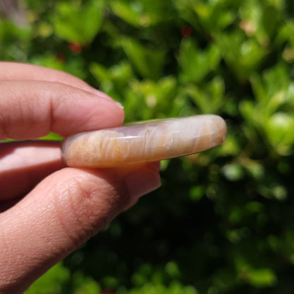 Hand holding a stone with a natural pattern against a blurred green background