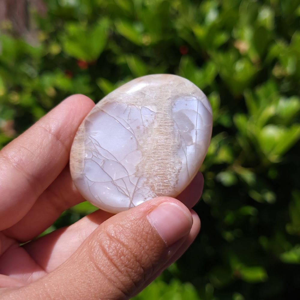 Hand holding a polished Peach Moonstone flat palm stone with a natural pattern against a blurred green background