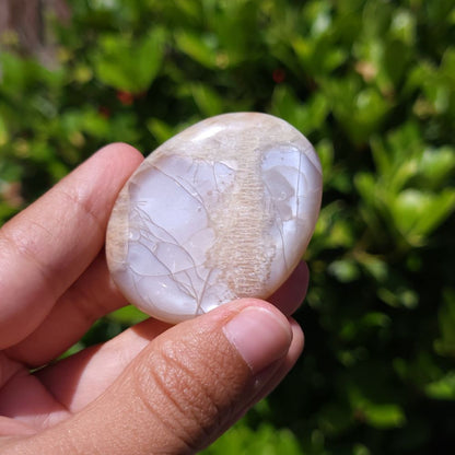 Hand holding a polished Peach Moonstone flat palm stone with a natural pattern against a blurred green background