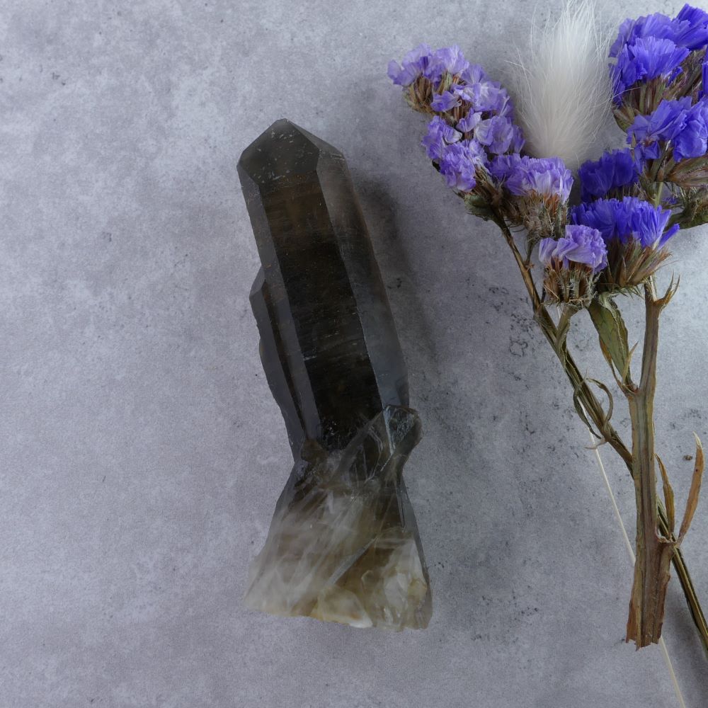 Smoky Quartz Powerhouse - Dumi's Crystals (83g). Unique formation (2.7cm x 9.5cm x 2cm) with intensified properties. A crystal for powerful healing.