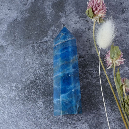 Dumi's Crystals Apatite Tower (8.3cm x 2.1x2.3cm, 82g). Manifestation & Clarity. Powerful blue hues, captivating energy. 