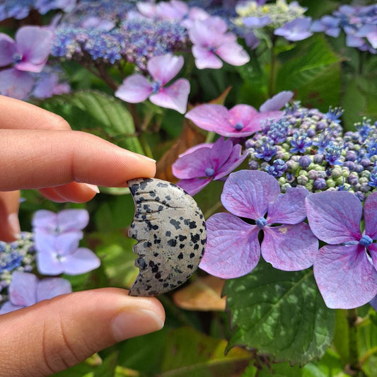 Dumi's Crystals Dalmatian Jasper Moon Face Carving (34x20x6mm): Playful black & white spots radiate joy, creativity & a sense of balance. 