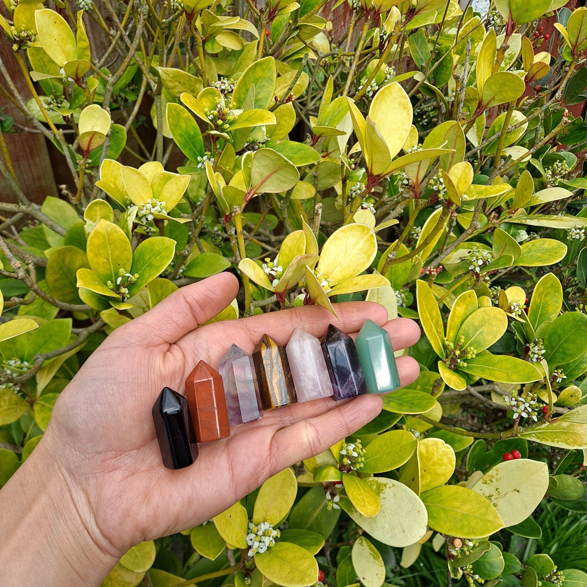 Red Jasper Power in a Mini Tower! Dumi's Crystals offers this gemstone for a surge of courage, focus, and connection to the earth.