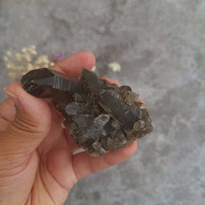 Smoky Quartz Cluster #7 | Grounding, Balance & Focus