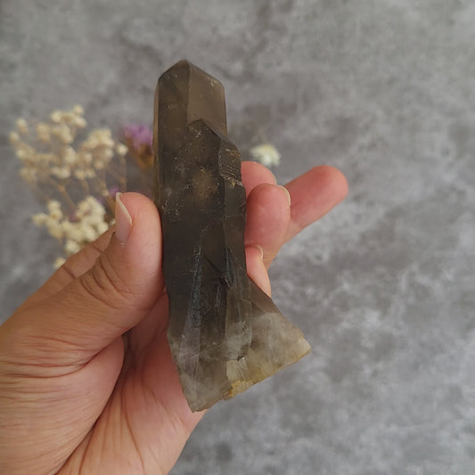 Irradiated Smoky Quartz Cluster #1 | Grounding, Release & Stability