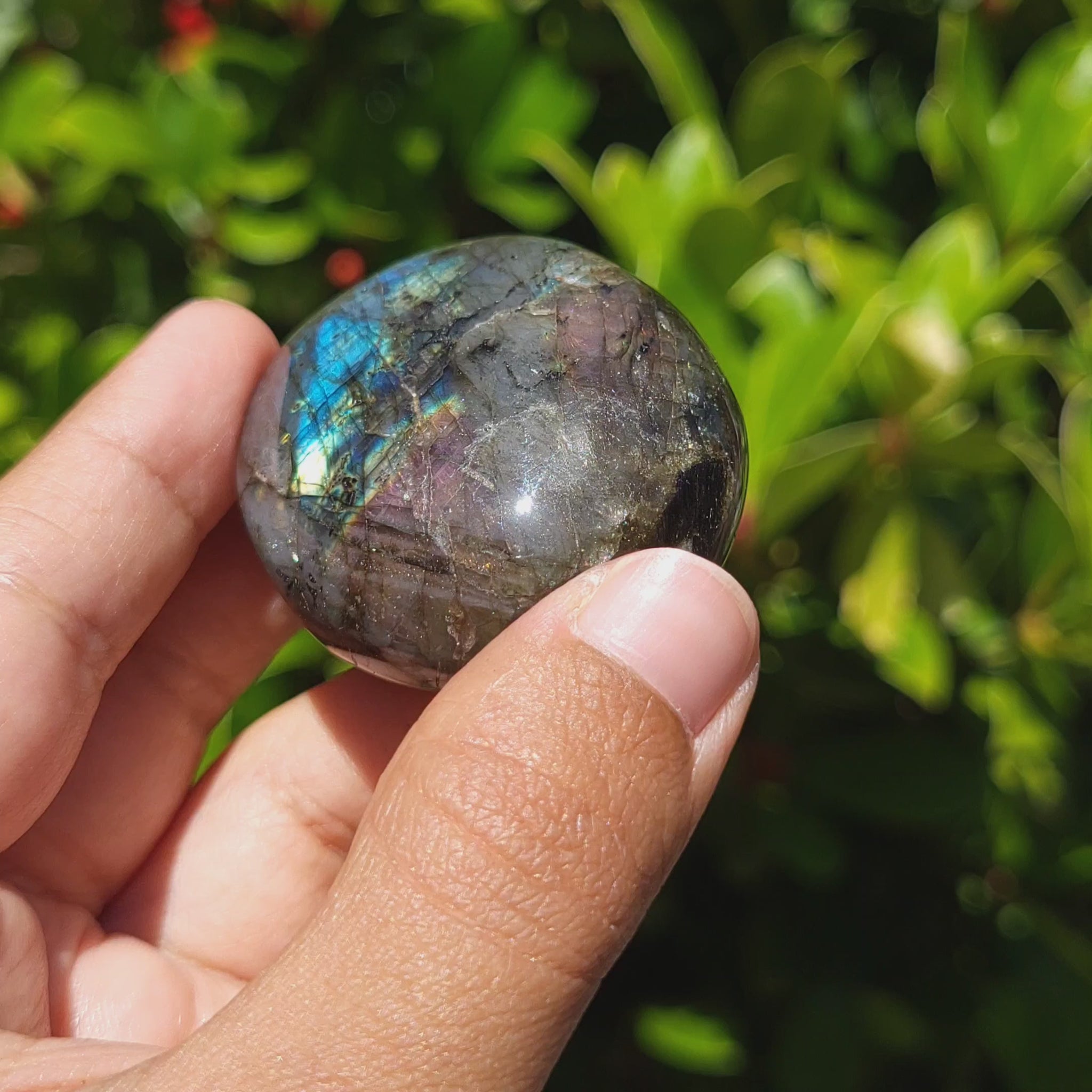 video showing the labradorescence of a labradorite palm stone