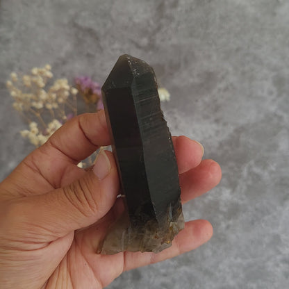 Irradiated Smoky Quartz Cluster #2 | Grounding, Protection & Focus
