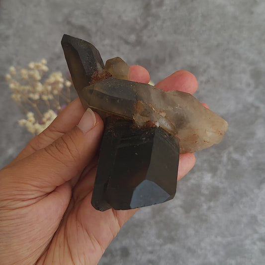 Irradiated Smoky Quartz Cluster #3 | Grounding, Protection & Balance
