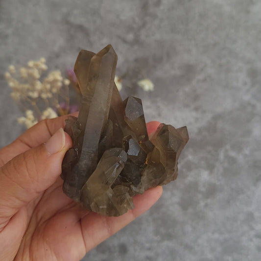 Smoky Quartz Cluster #1 | Grounding, Protection & Balance