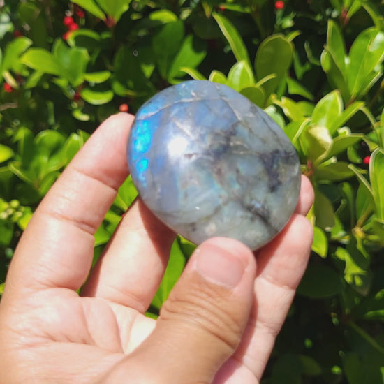 hand holding a labradorite palm stone showcasing the flash characteristic of labradorite 