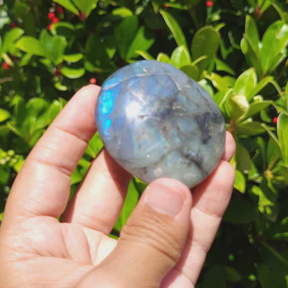 hand holding a labradorite palm stone showcasing the flash characteristic of labradorite 