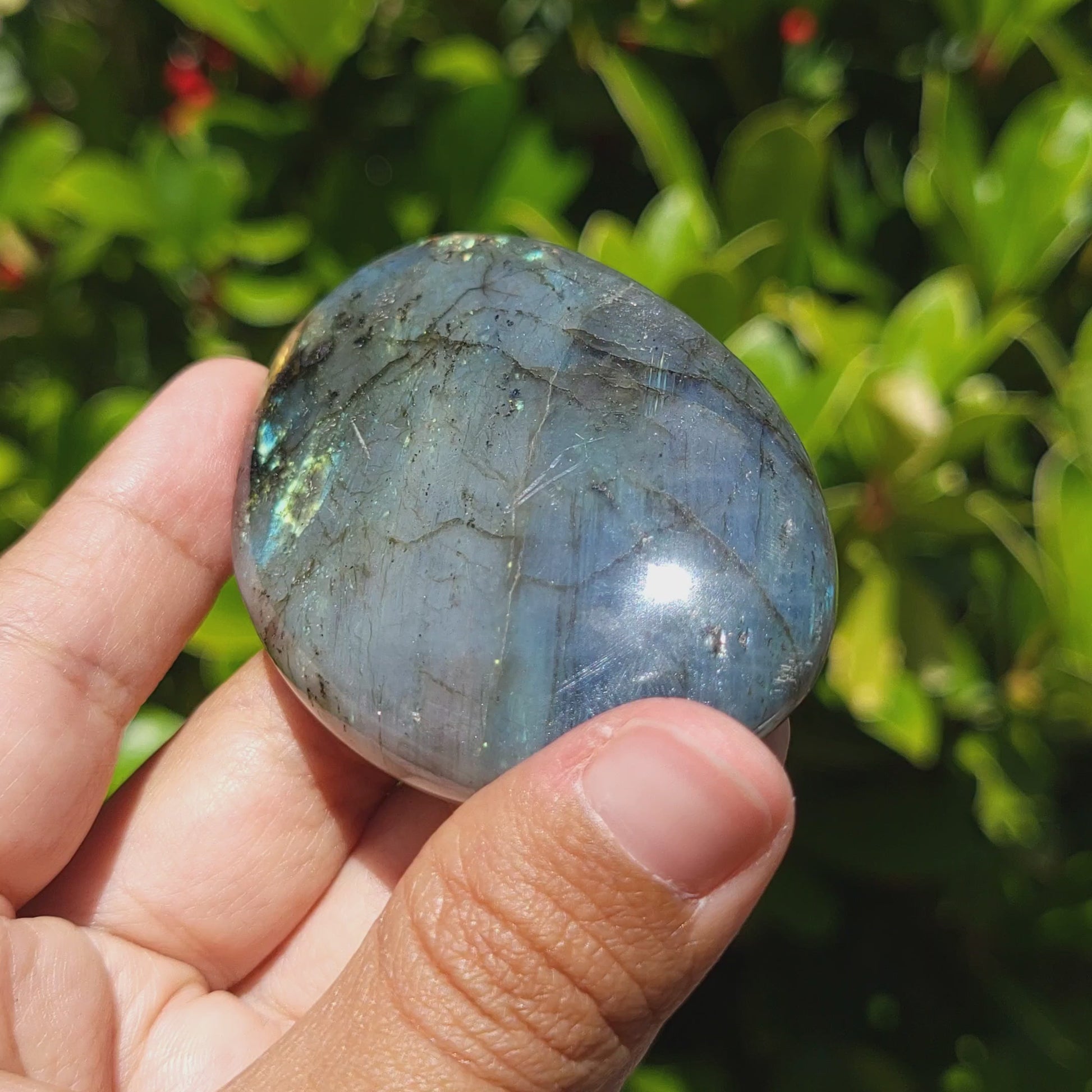 video showing the labradorescence of a labradorite palm stone