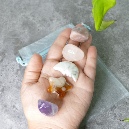 Hand holding rose quartz, rhodonite, amethyst tumbled stones, a howlite moon and a flower agate star on a gray surface with a green leaf in the corner