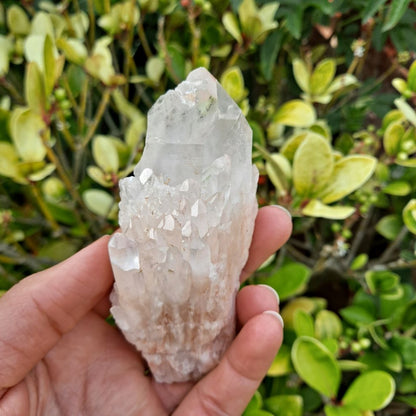 pineapple\candle\celestial quartz healing crystals point dumiscrystals