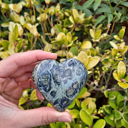 Dumi's Crystals | Kambaba Jasper Heart Carving (Grounding & Peace): A captivating close-up of a Kambaba Jasper Heart Carving, showcasing its mesmerizing green hues and orbicular patterns. This "Supreme Nurturer" promotes grounding tranquility & emotional balance. Embrace peace & connection with Dumi's Crystals (ethically sourced).
