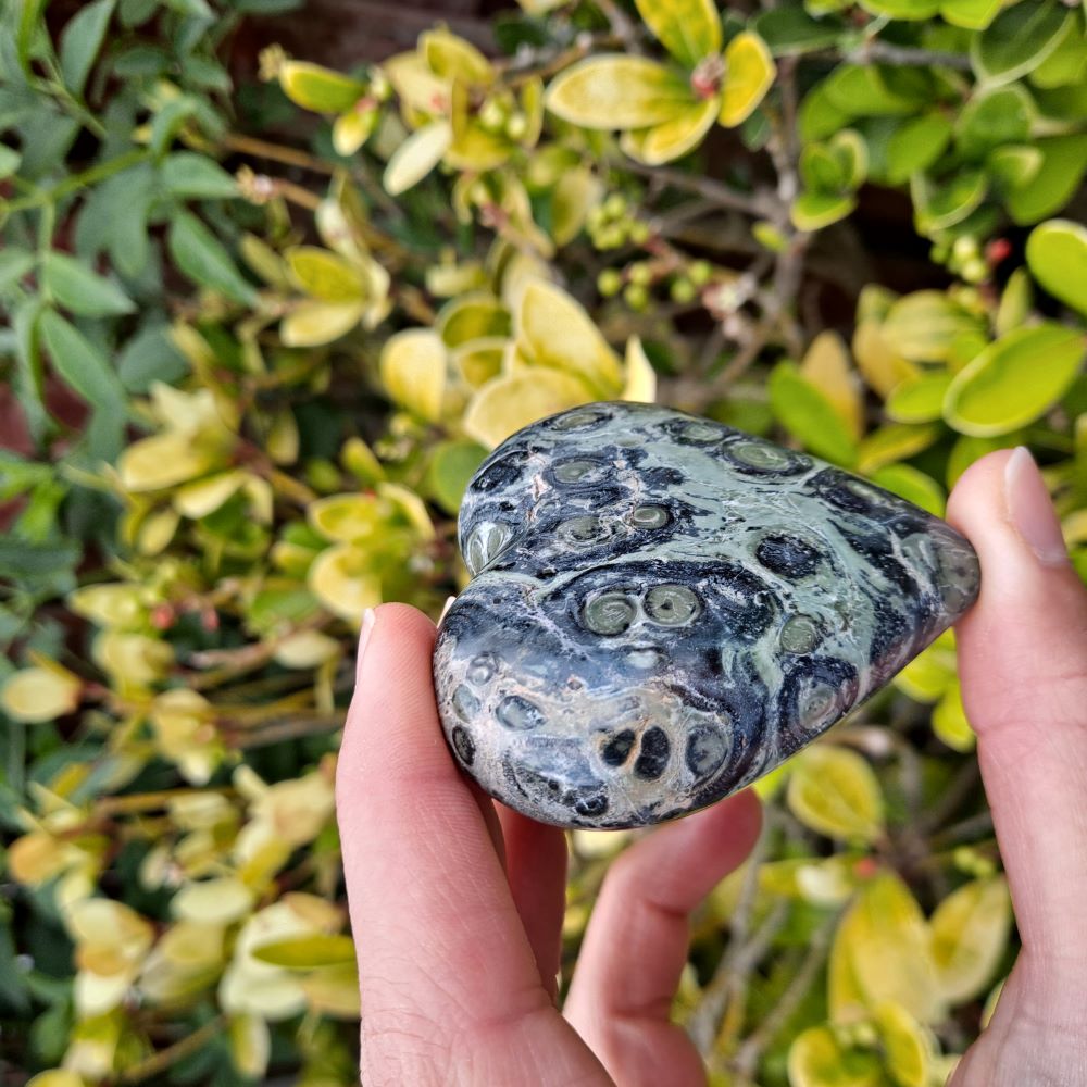 Dumi's Crystals | Kambaba Jasper Heart Carving (Renewal & Growth):  A stunning Kambaba Jasper Heart Carving, a symbol of renewal and growth. Rich green hues & orbicular patterns connect you to the earth's energy. Dissolve negativity & embrace life's cycles with grace. Dumi's Crystals - Ethically sourced crystals.