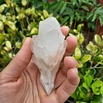 Embrace Abundance (Pineapple Quartz)! Dumi's Crystals Cluster (130g). Candle Quartz fosters inner peace & clarity. Each unique piece approx 1.6" x 1.8" x 4". 