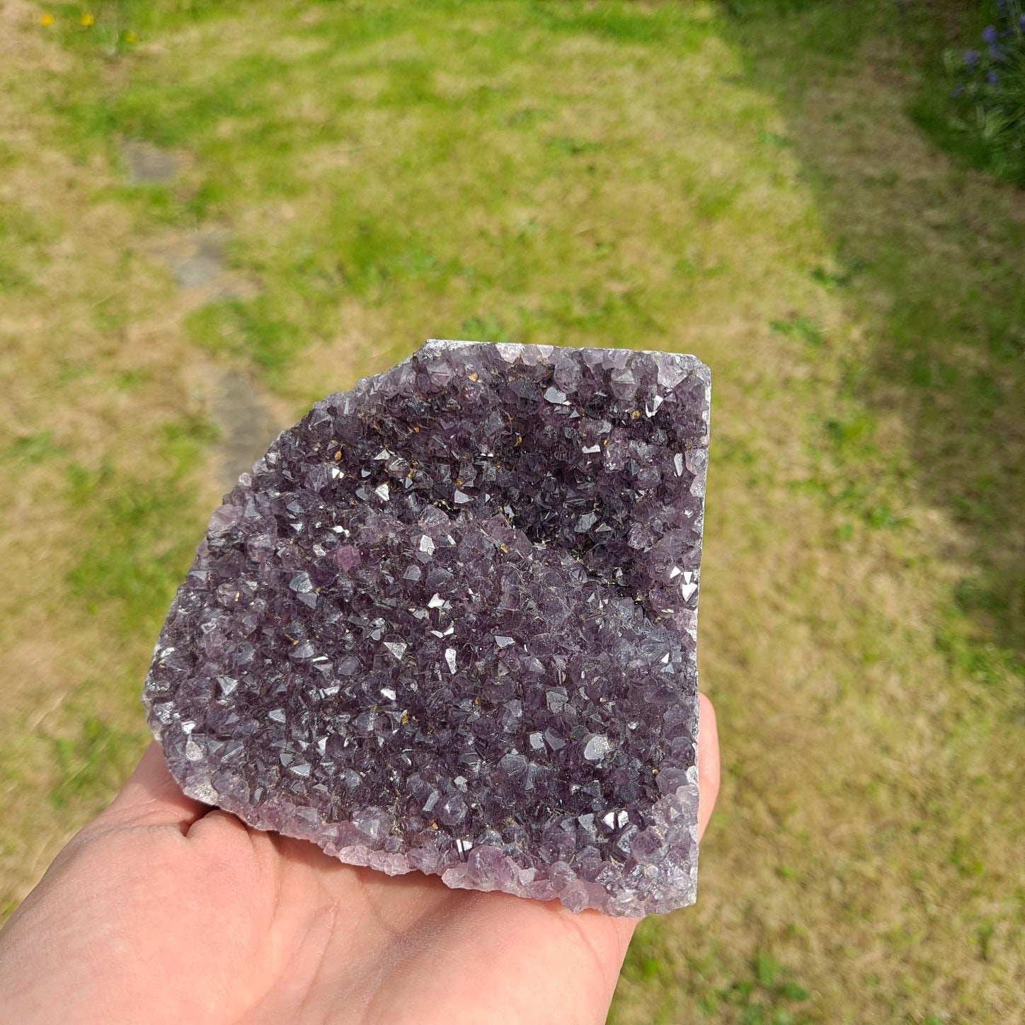 purple Brazilian amethyst cluster\geode healing crystals dumiscrystals
