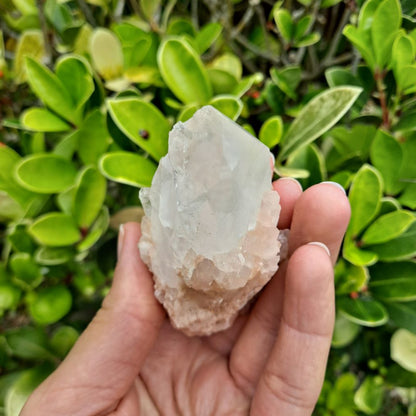 Spark Transformation (Atlantean Lovestar): Dumi's Crystals Pineapple Quartz Cluster (3.8cm x 4.6cm x 10cm). Each unique piece fosters spiritual growth.